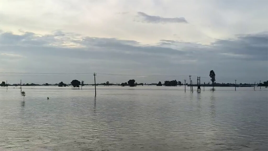 Flood Situation Turns Grim in Punjab as More Water Released from Dams and Barrages