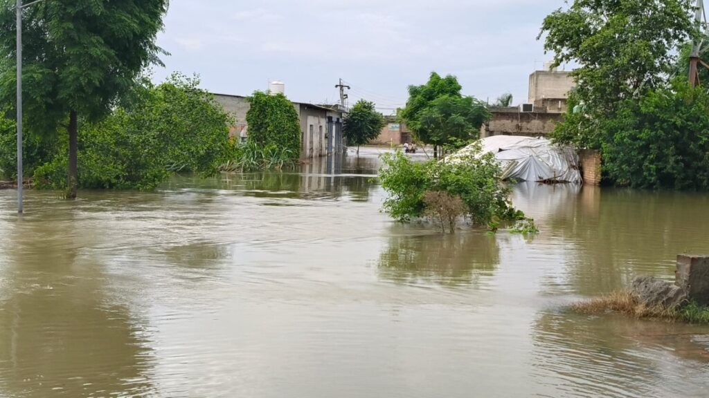 Floodwaters engulf a village in Ferozepur district as rivers overflow in Punjab
