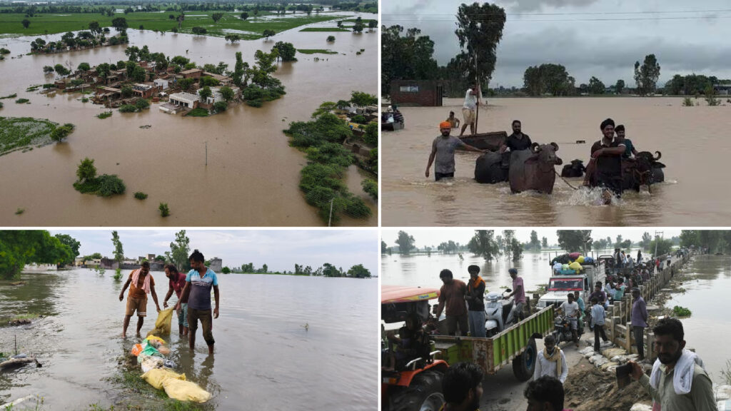 flood water devastate punjab districsts