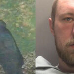 Sikh Federation (UK) Demands Government Action on Anti-Sikh Hate Following Guilty Plea in Walsall Assault Case