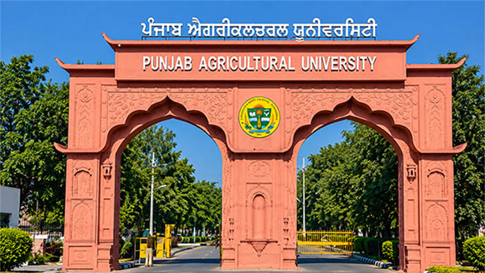 Punjab Agricultural University PAU