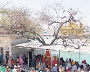 Dukh-Bhanjani-Beri-Harimander-Sahib-Amritsar A view of Dukh Bhanjani Beri at Darbar Sahib (Amritsar)